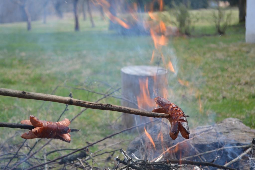 Chalupa Pod Klepacem Králíky 외부 사진